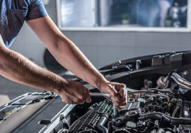 Car Inspection Service Brendale